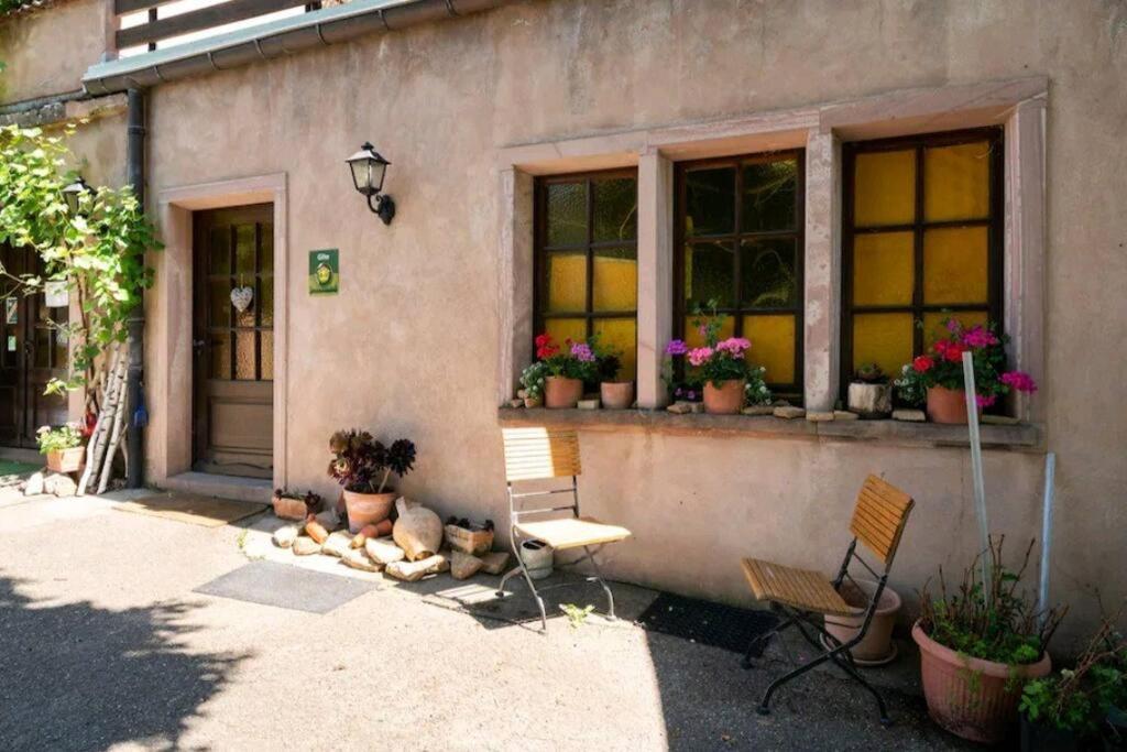 Appartement L'œuf Ou La Poule, Parking Privé *